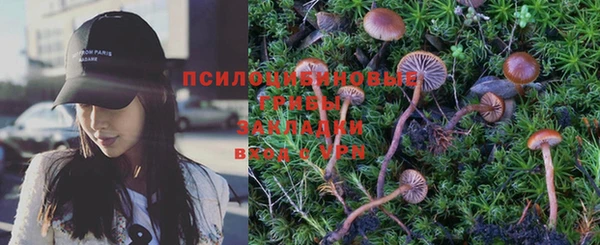 мескалин Осинники