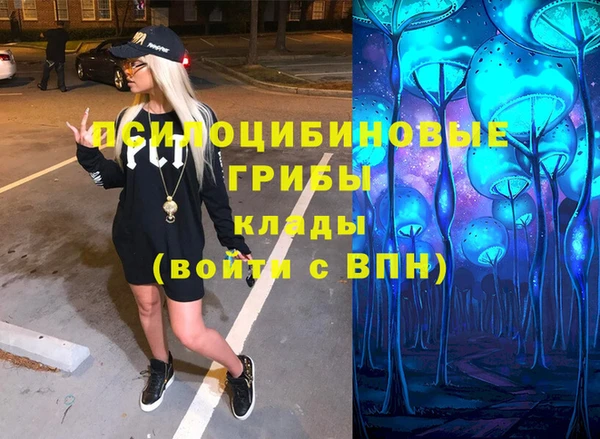 соль курить ск Няндома