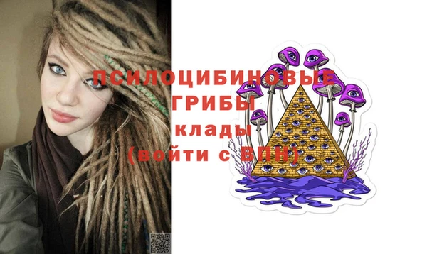 мяу мяу мука Нязепетровск