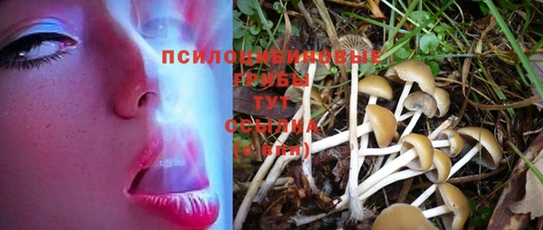 соль курить ск Няндома