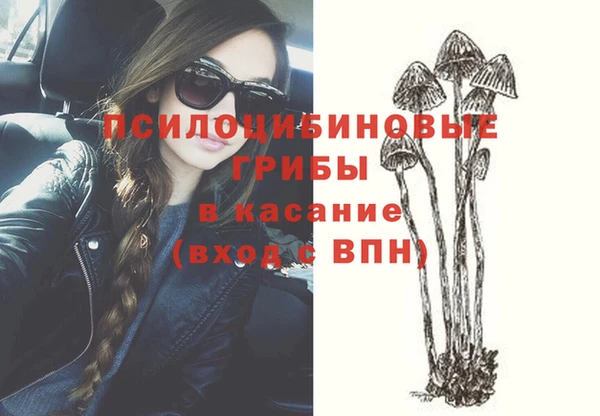 мяу мяу мука Нязепетровск