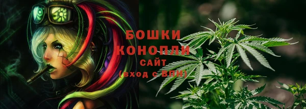 спиды Болотное
