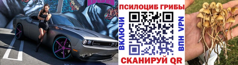 Галлюциногенные грибы GOLDEN TEACHER  Струнино 
